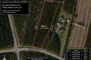 T1 Silvertown Rd, Enfield, NC 27823 - Photo 1
