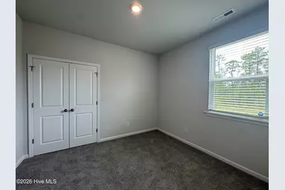 4293 Coralbead Lane, Leland, NC 28451 - Photo 18