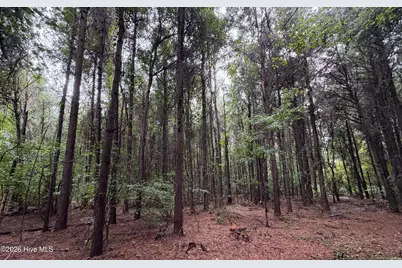 0 Mills Road, Goldsboro, NC 27530 - Photo 6