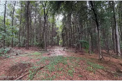 0 Mills Road, Goldsboro, NC 27530 - Photo 8