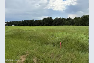 0 Mills Road, Goldsboro, NC 27530 - Photo 2