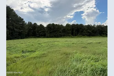 0 Mills Road, Goldsboro, NC 27530 - Photo 4
