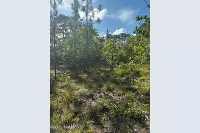 98 Fairway Drive, Southport, NC 28461 - Photo 8