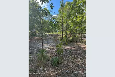 98 Fairway Drive, Southport, NC 28461 - Photo 6