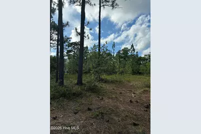 98 Fairway Drive, Southport, NC 28461 - Photo 4