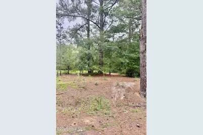 0 Rainwater Lane, Rockingham, NC 28379 - Photo 2
