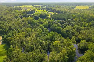 196 Pattie Ln, Maysville, NC 28555 - Photo 28