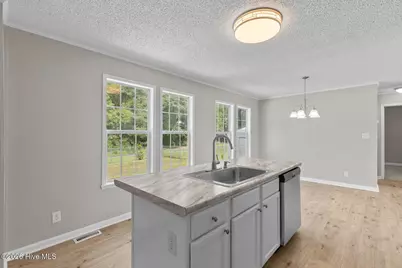 313 Windy Branch Way, Jacksonville, NC 28540 - Photo 10