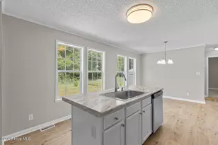 313 Windy Branch Way, Jacksonville, NC 28540 - Photo 10