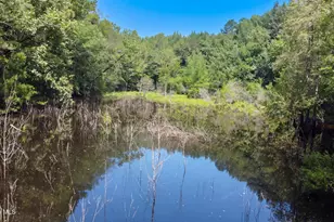 5397 Dilda Church Rd, Fountain, NC 27829 - Photo 28