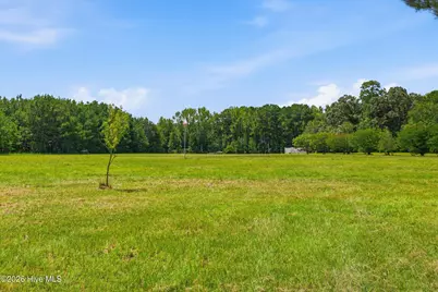 5397 Dilda Church Road, Fountain, NC 27829 - Photo 68