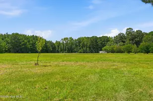 5397 Dilda Church Rd, Fountain, NC 27829 - Photo 68
