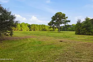 5397 Dilda Church Rd, Fountain, NC 27829 - Photo 66