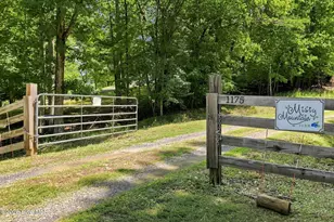 1175 Wolfcreek Rd, Murphy, NC 28906 - Photo 86