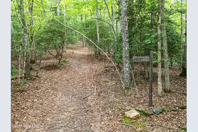 1054 Dickey Road, Murphy, NC 28906 - Photo 34