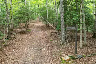1054 Dickey Rd, Murphy, NC 28906 - Photo 34