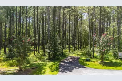 397 Madison Avenue, Oriental, NC 28571 - Photo 12