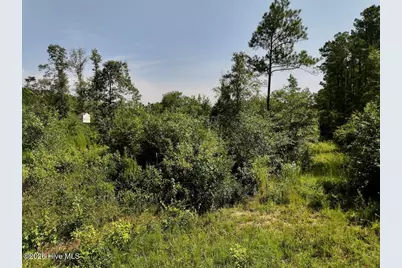 0 W Magnolia-Lisbon Road, Garland, NC 28441 - Photo 18