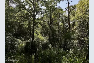0 W Magnolia-Lisbon Road, Garland, NC 28441 - Photo 22