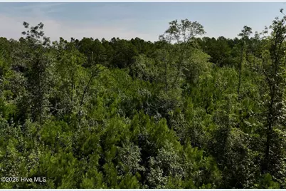 0 W Magnolia-Lisbon Road, Garland, NC 28441 - Photo 24