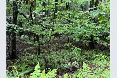 Lot 28 Atoah Loop, Murphy, NC 28906 - Photo 10