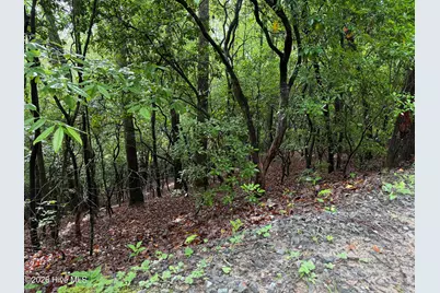 Lot 28 Atoah Loop, Murphy, NC 28906 - Photo 4