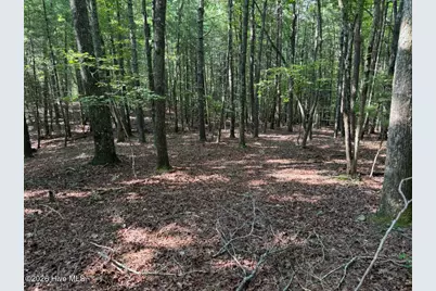 919 Panther Top Road, Murphy, NC 28906 - Photo 4