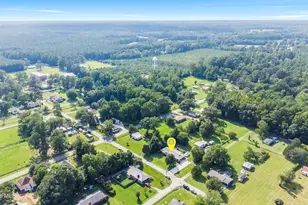 217 E Henry St, Atkinson, NC 28421 - Photo 64