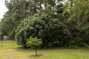 368 Country Club Rd, Camden, NC 27921 - Photo 42