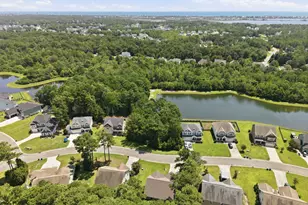 415 Canvasback Ln, Sneads Ferry, NC 28460 - Photo 46