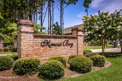 415 Canvasback Lane, Sneads Ferry, NC 28460 - Photo 50
