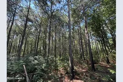 2740 Nc 71 Highway, Maxton, NC 28364 - Photo 10