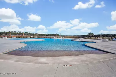 1110 Pampas Grass Drive #Lot 340, Castle Hayne, NC 28429 - Photo 40