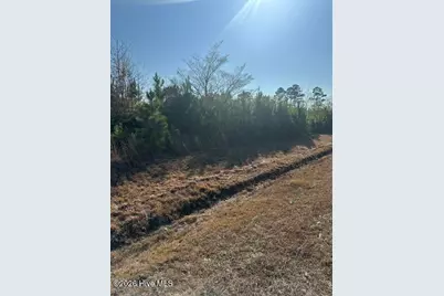 2645 Braswell Road, Chadbourn, NC 28431 - Photo 2