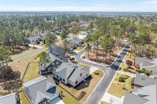 391 Blossom Tree Ln SE, Bolivia, NC 28422 - Photo 50