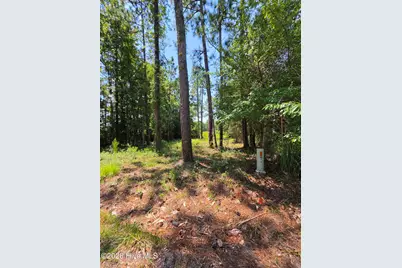 44 Pine Shores Drive, Southport, NC 28461 - Photo 10