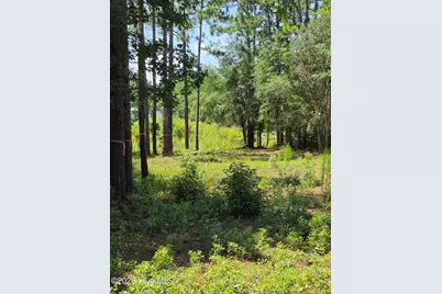 44 Pine Shores Drive, Southport, NC 28461 - Photo 8