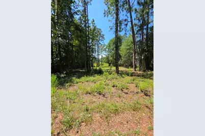 44 Pine Shores Drive, Southport, NC 28461 - Photo 1