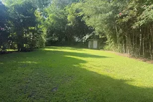 220 E Lewis St, Whiteville, NC 28472 - Photo 10