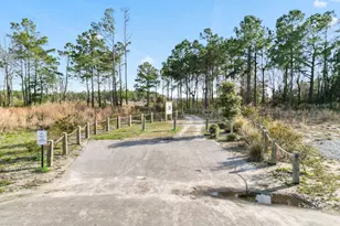 943 Needlerush Rd, Sneads Ferry, NC 28460 - Photo 58