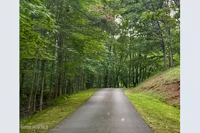 Lot #46 Pine Cove Lane, Murphy, NC 28906 - Photo 2