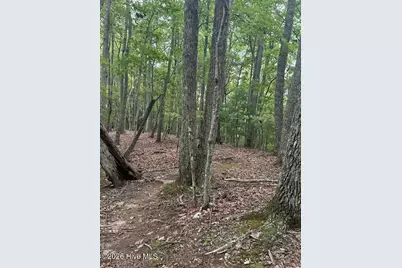 Lot #46 Pine Cove Lane, Murphy, NC 28906 - Photo 6