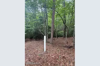 Lot #46 Pine Cove Lane, Murphy, NC 28906 - Photo 8