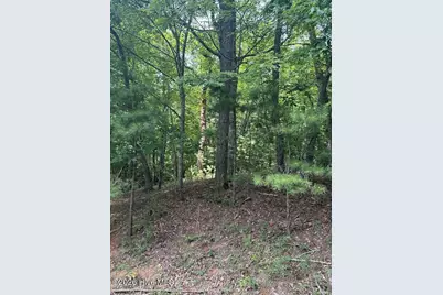 Lot #46 Pine Cove Lane, Murphy, NC 28906 - Photo 12