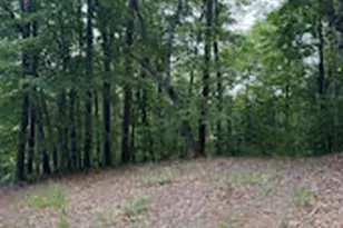 Lot #46 Pine Cove Ln, Murphy, NC 28906 - Photo 1