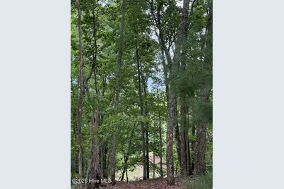Lot #46 Pine Cove Lane, Murphy, NC 28906 - Photo 4