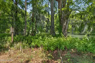 265 Iris Way, Hampstead, NC 28443 - Photo 64