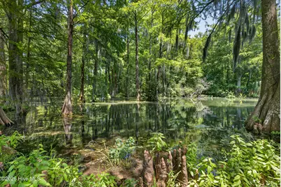 265 Iris Way, Hampstead, NC 28443 - Photo 58