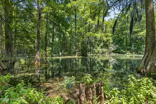 265 Iris Way, Hampstead, NC 28443 - Photo 58
