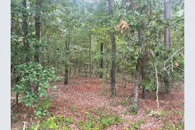 300 Gardenia Lane, White Oak, NC 28399 - Photo 2